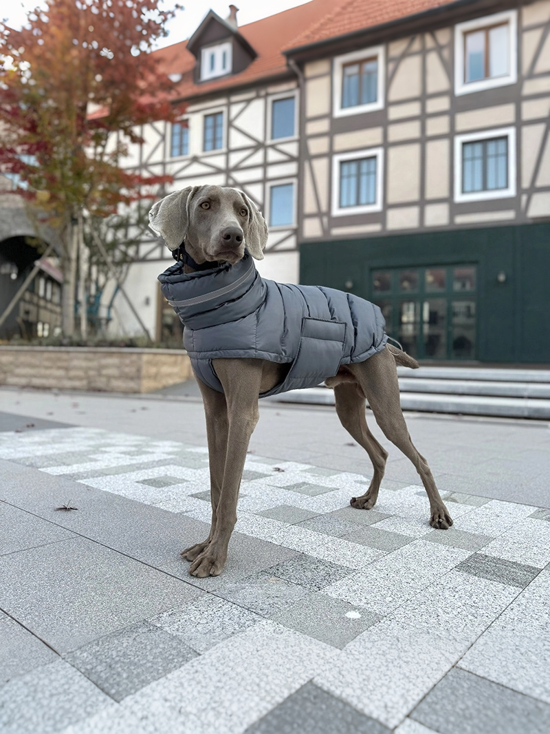 WAGGL Pets Cloudtrail Quilted Dog Coat