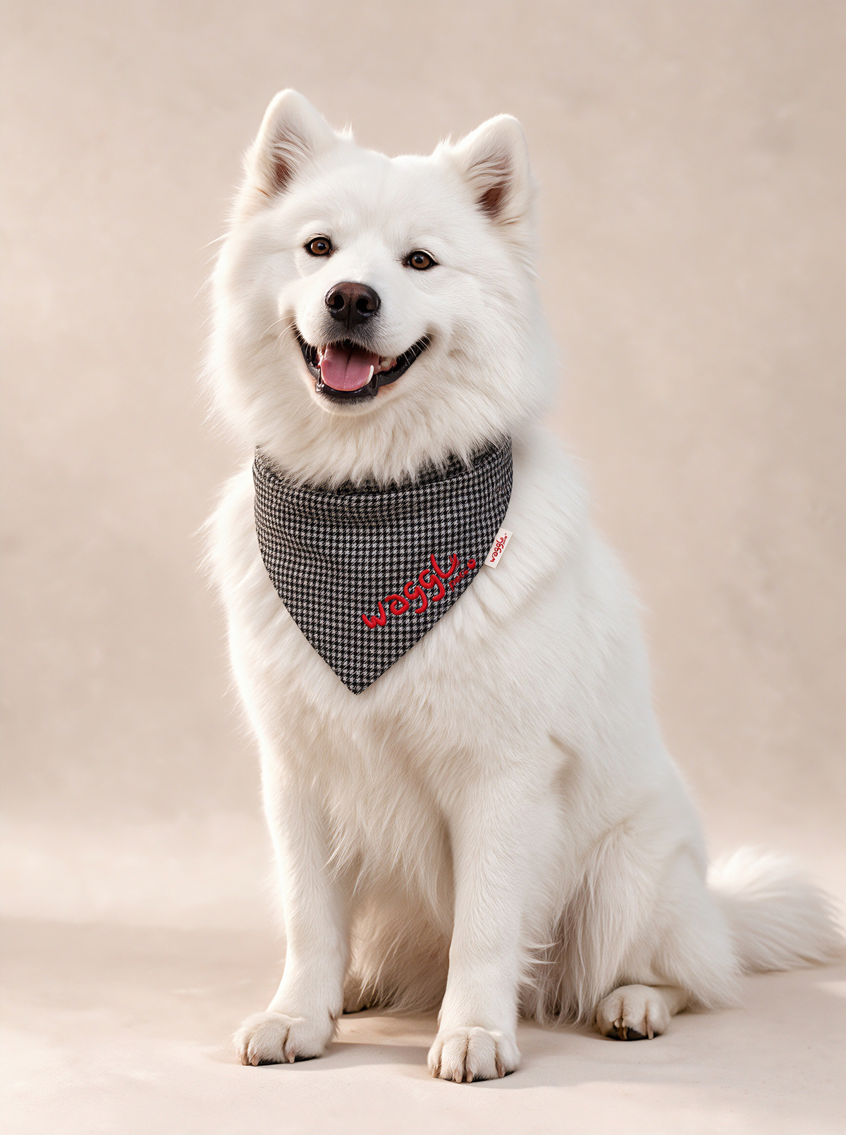WAGGL Pets Dapper Days Houndstooth Dog Bandana