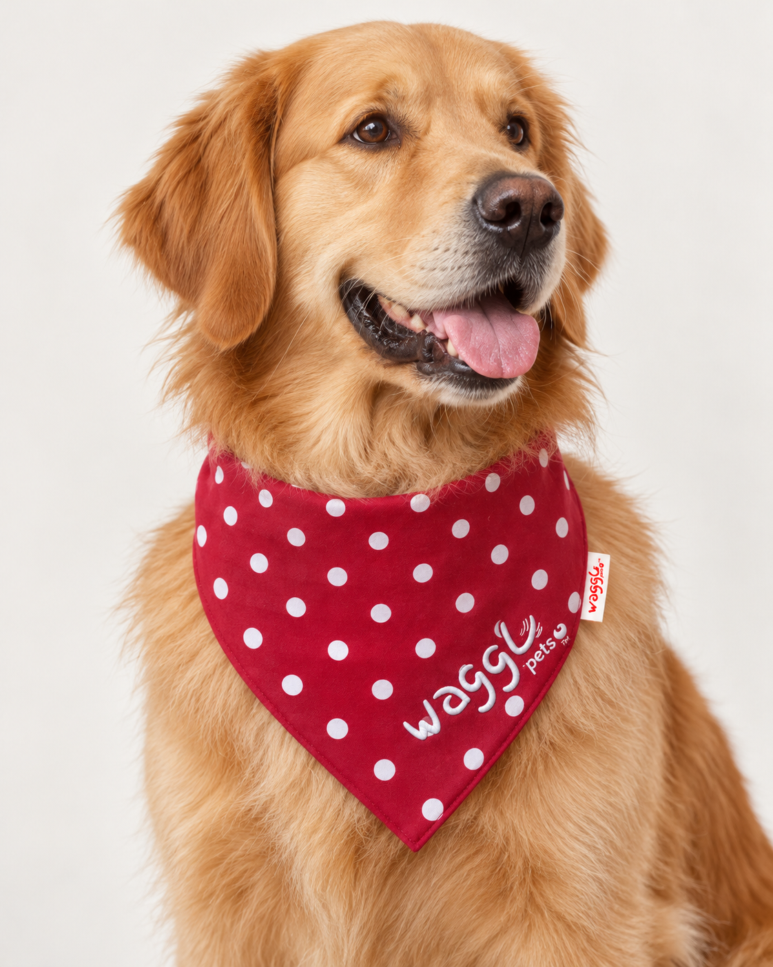 WAGGL Pets Dot & Dash Polka Dot Dog Bandana