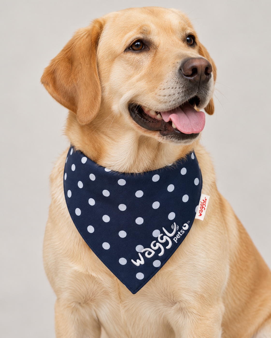 WAGGL Pets Dot & Dash Polka Dot Dog Bandana