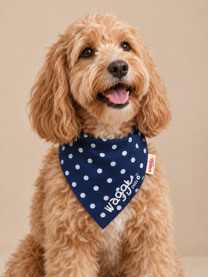 Bandana pour chien à nouer Dot & Dash de WAGGL Pets