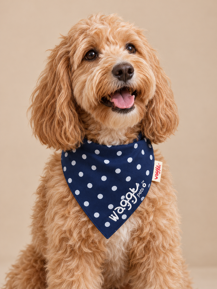 WAGGL Pets Dot & Dash Tie-Strap Dog Bandana