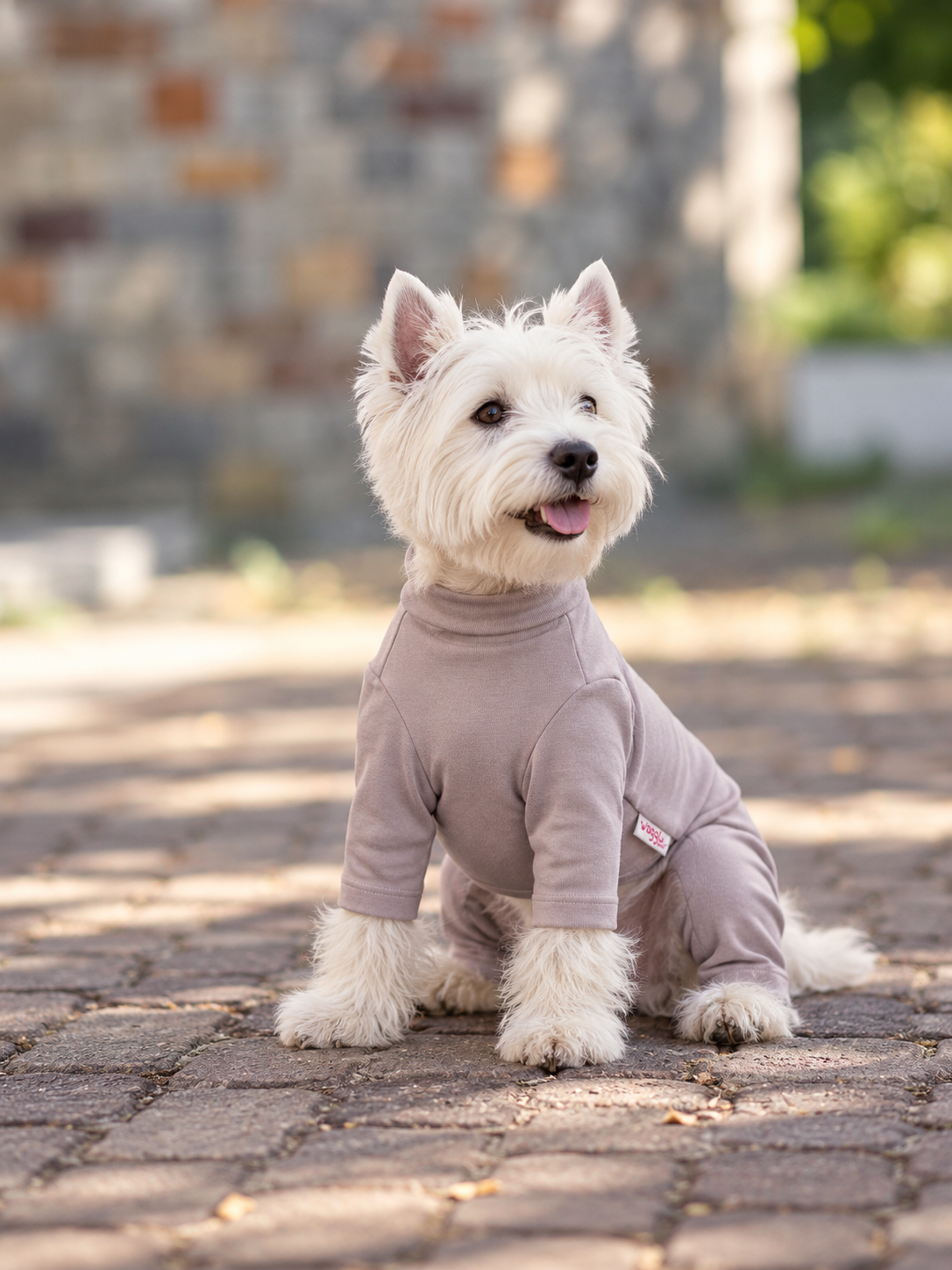 WAGGL Pets Daydream Dog Base Layer Onesie