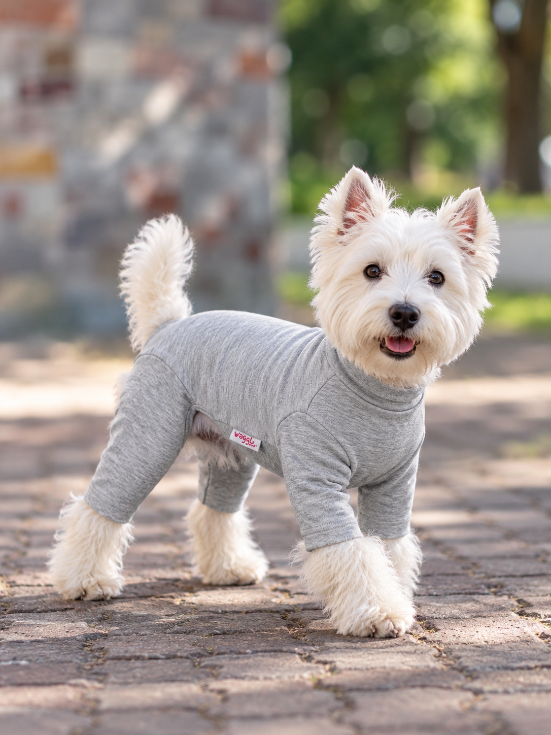 WAGGL Pets Daydream Dog Base Layer Onesie