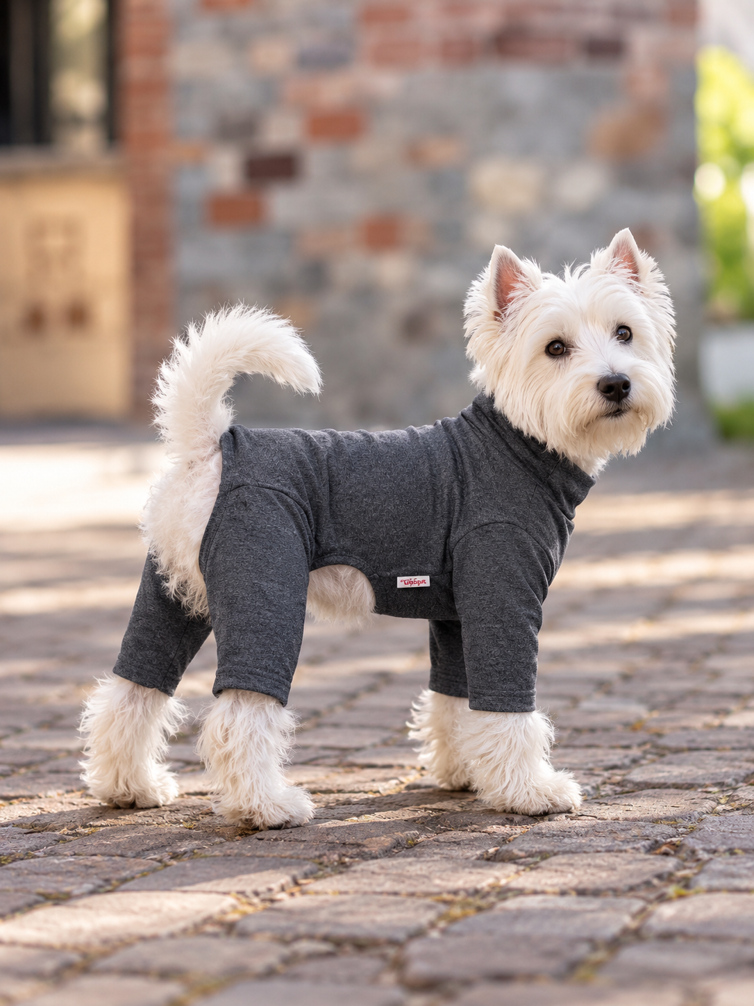 WAGGL Pets Daydream Dog Base Layer Onesie
