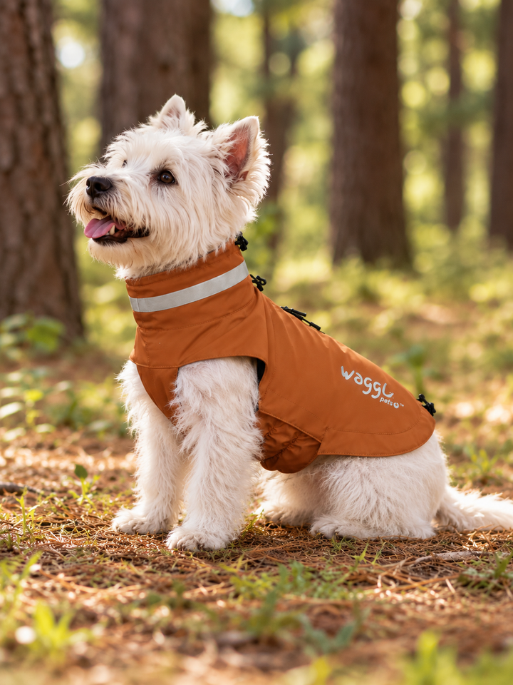 WAGGL Pets Drizzle Scout Outdoor Dog Jacket