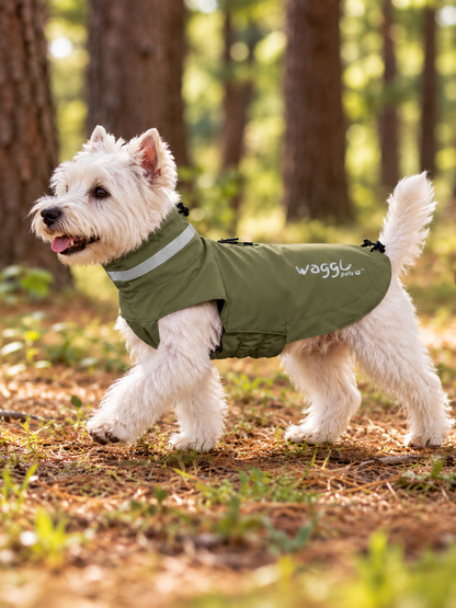 WAGGL Pets Drizzle Scout Outdoor Dog Jacket