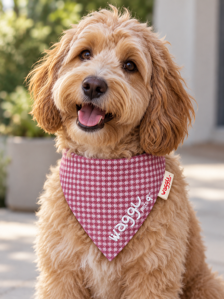 WAGGL Pets Dapper Hound Tie-Strap Dog Bandana