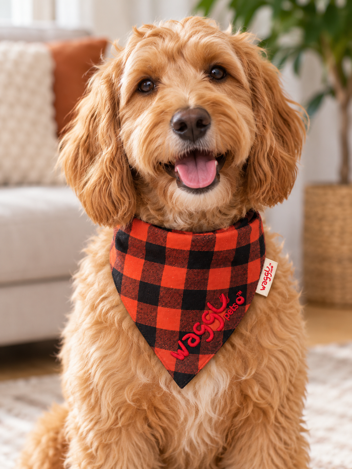 WAGGL Pets Trail Tails Tie-Strap Dog Bandana