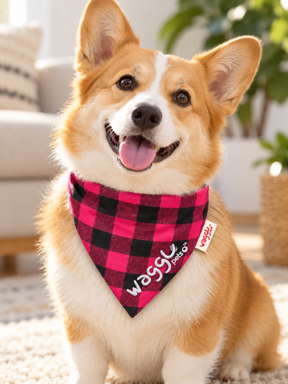 Bandana pour chien à nouer Trail Tails de WAGGL Pets