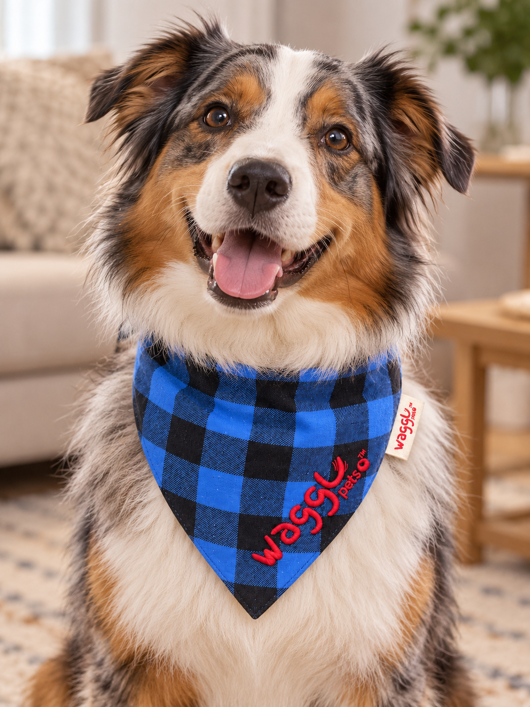 Bandana pour chien à nouer Trail Tails de WAGGL Pets