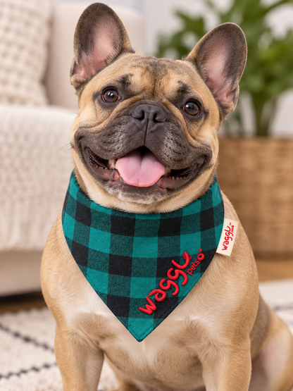 Bandana pour chien à nouer Trail Tails de WAGGL Pets