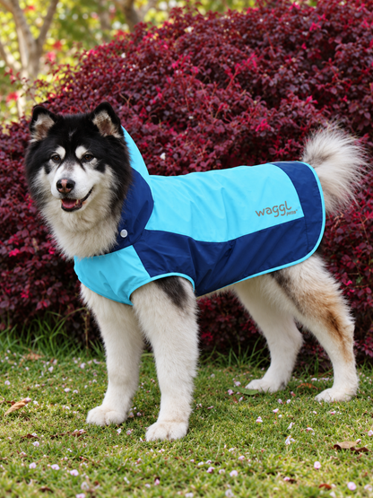Veste imperméable à capuche pour chien Puddle Parade de WAGGL Pets