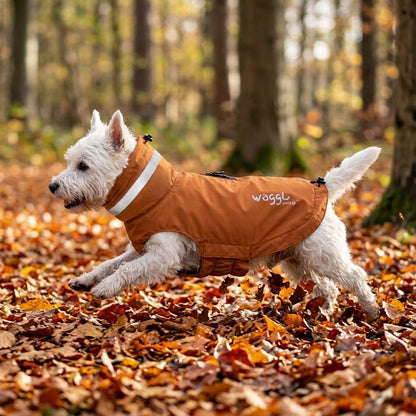 WAGGL Pets Drizzle Scout Outdoor Dog Jacket