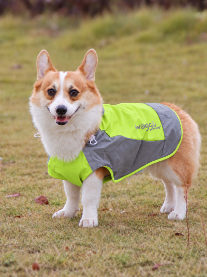 Veste imperméable à capuche pour chien Puddle Parade de WAGGL Pets