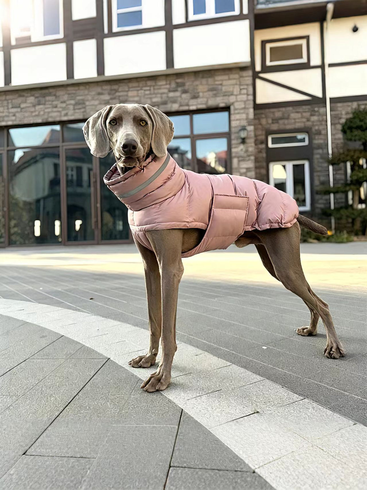 WAGGL Pets Cloudtrail Quilted Dog Coat